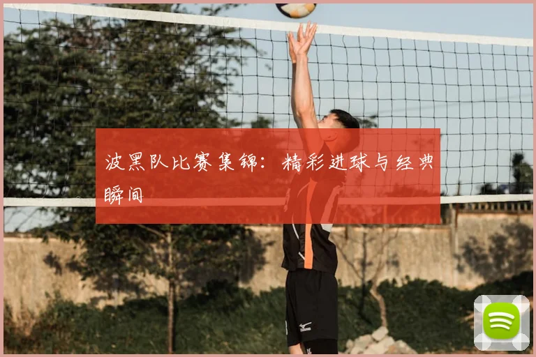 波黑队比赛集锦:精彩进球与经典瞬间