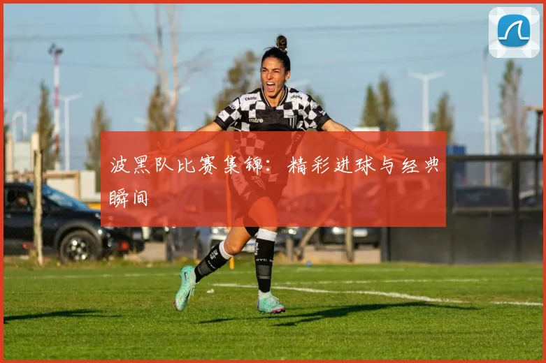 波黑队比赛集锦:精彩进球与经典瞬间